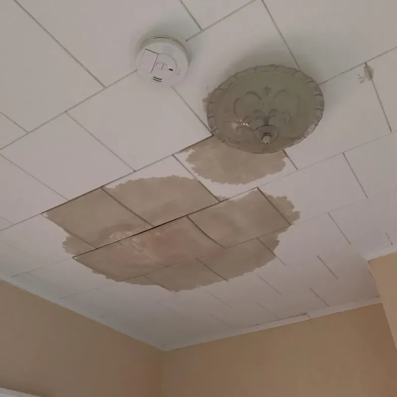 Ceiling Water Damage Repair in Sacramento County, CA