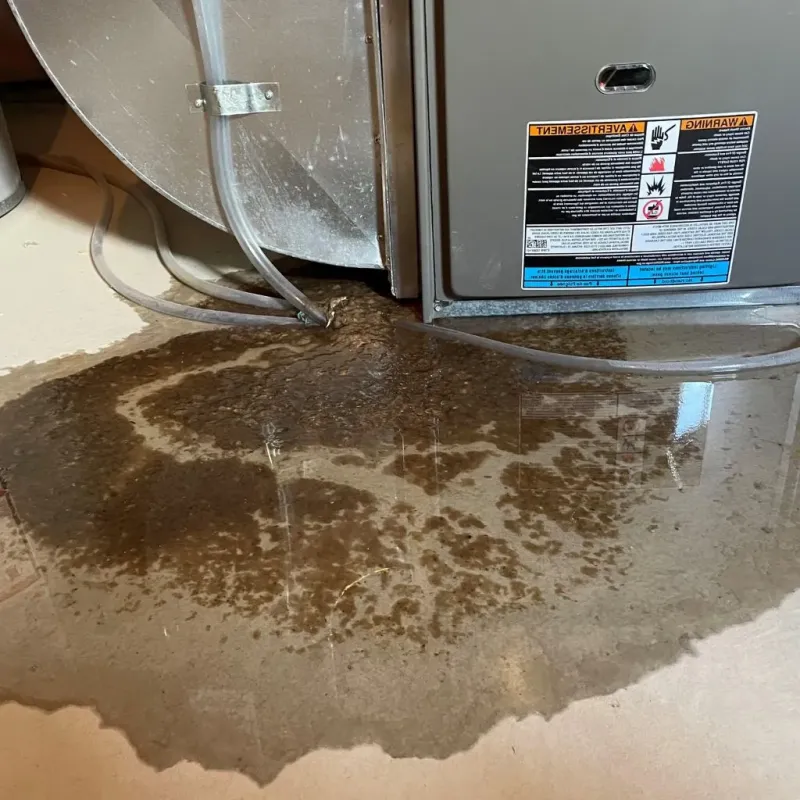 Pipe Burst and Leak Restoration in Sacramento County, CA