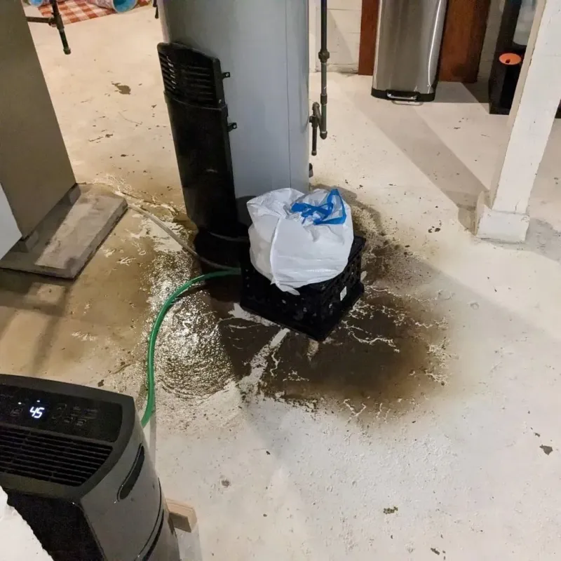 Sewage Backup Cleanup Service in Sacramento County, CA